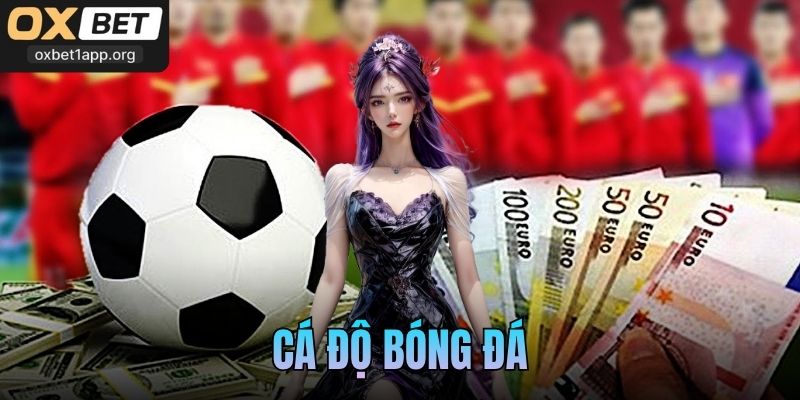 Cá Độ Bóng Đá – Bí Quyết Thắng Lớn Cho Người Mới 2026