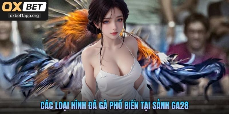 Các loại hình đá gà phổ biến tại sảnh GA28