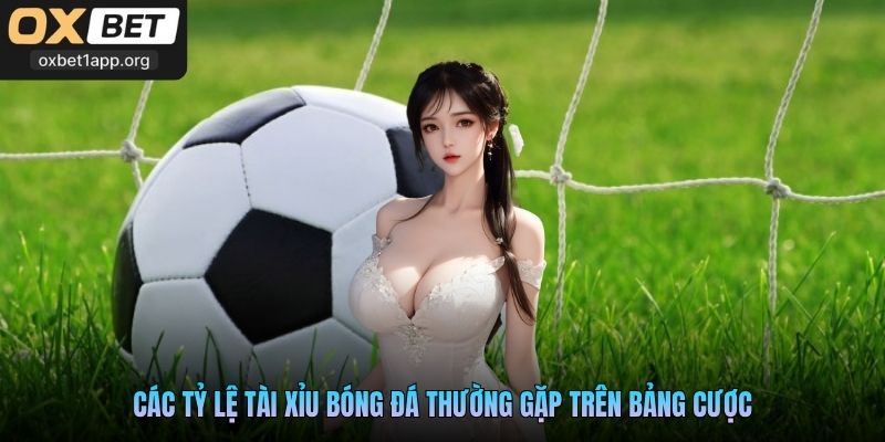 Các tỷ lệ tài xỉu bóng đá thường gặp trên bảng cược