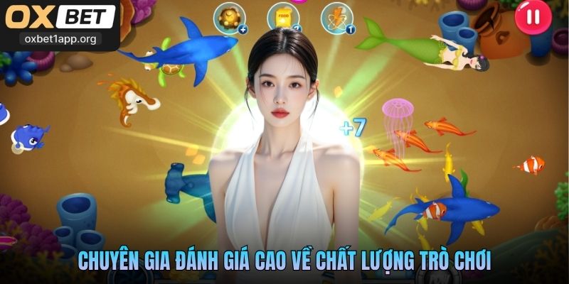 Chuyên gia đánh giá cao về chất lượng trò chơi
