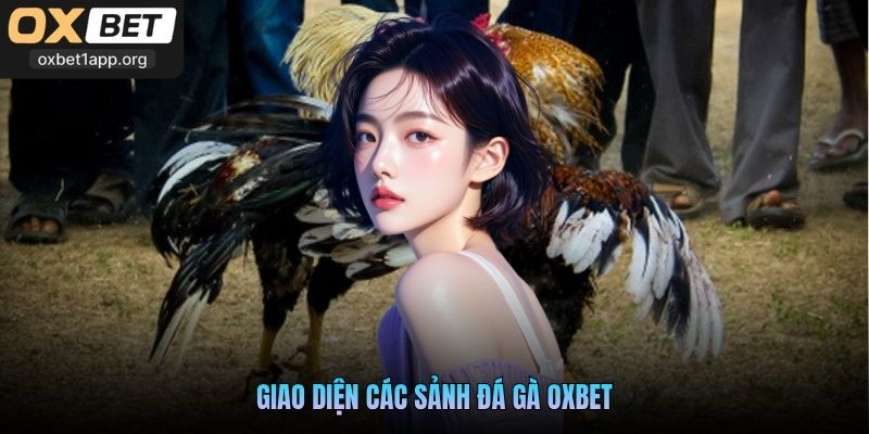 Giao diện các sảnh đá gà Oxbet
