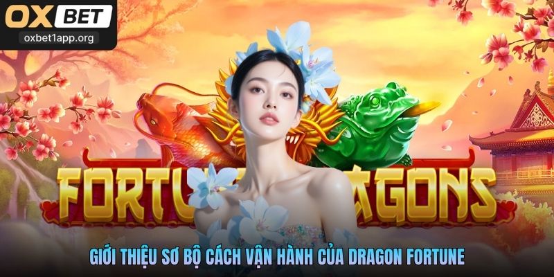 Giới thiệu sơ bộ cách vận hành của Dragon Fortune