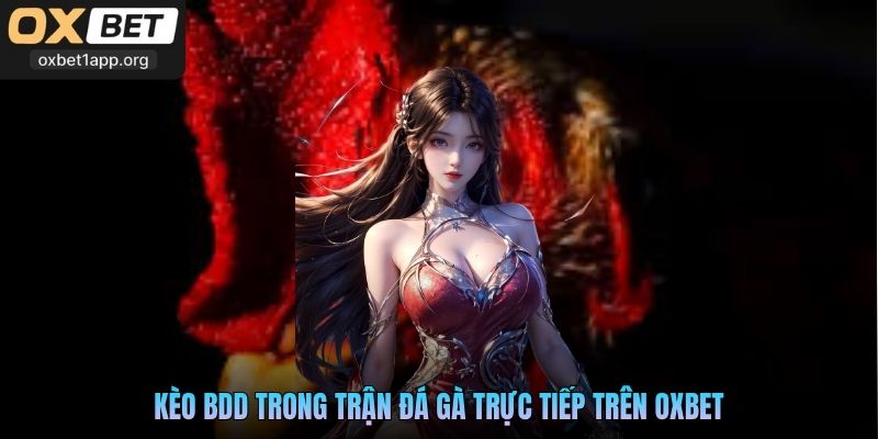 Kèo BDD trong trận đá gà trực tiếp trên Oxbet