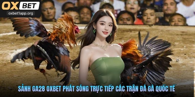 Sảnh GA28 Oxbet phát sóng trực tiếp các trận đá gà quốc tế