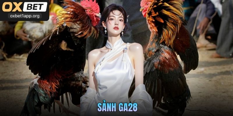 Sảnh GA2 Oxbet: Trận Đá Gà Trực Tiếp Sôi Động Và Kèo Hấp Dẫn