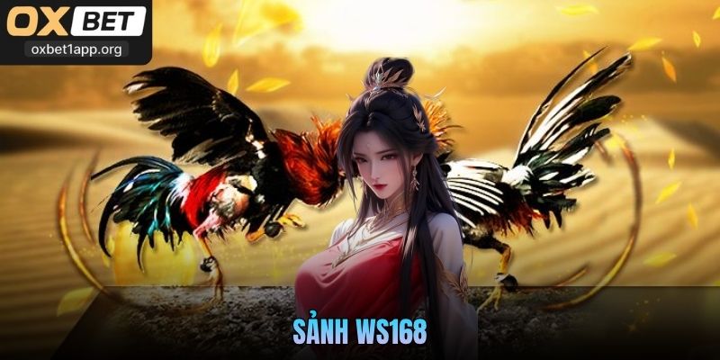 Sảnh WS168 Oxbet - Trải Nghiệm Cá Cược Trực Tiếp Chuẩn Xác