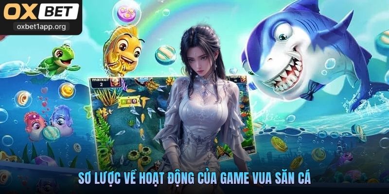 Sơ lược về hoạt động của game Vua Săn Cá