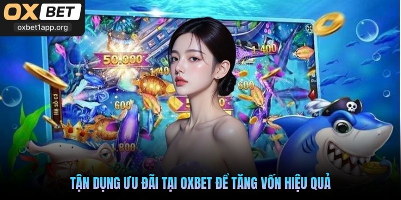 Tận dụng ưu đãi tại Oxbet để tăng vốn hiệu quả