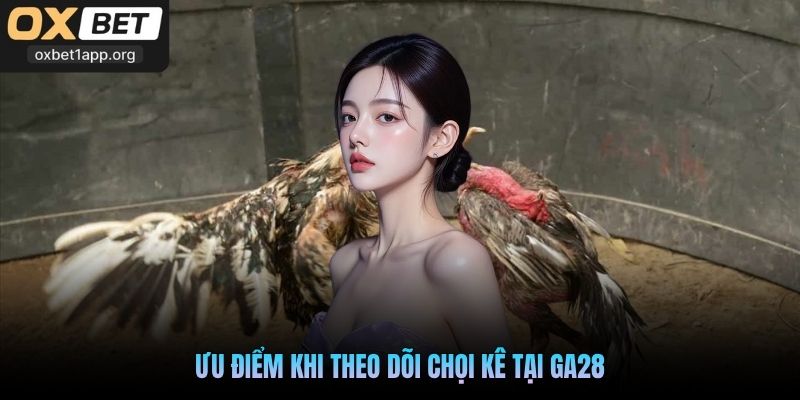 Ưu điểm khi theo dõi chọi kê tại GA28